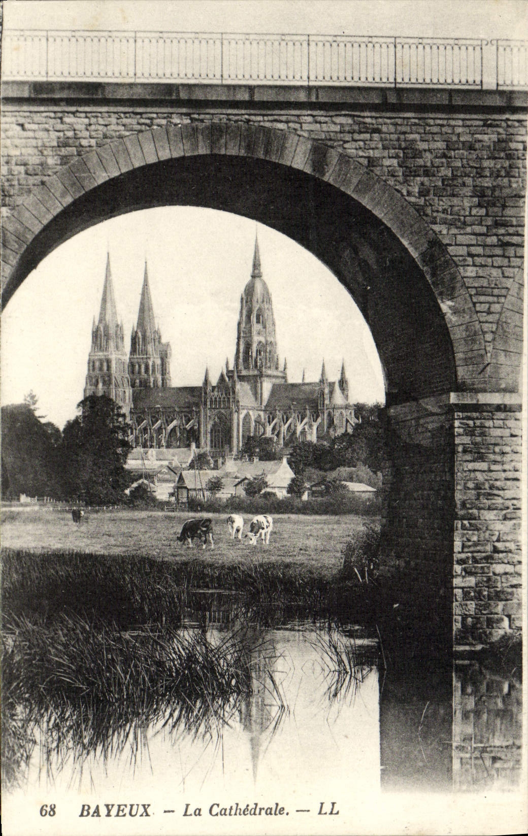 CPA Bayeux le cathedrale Vaches