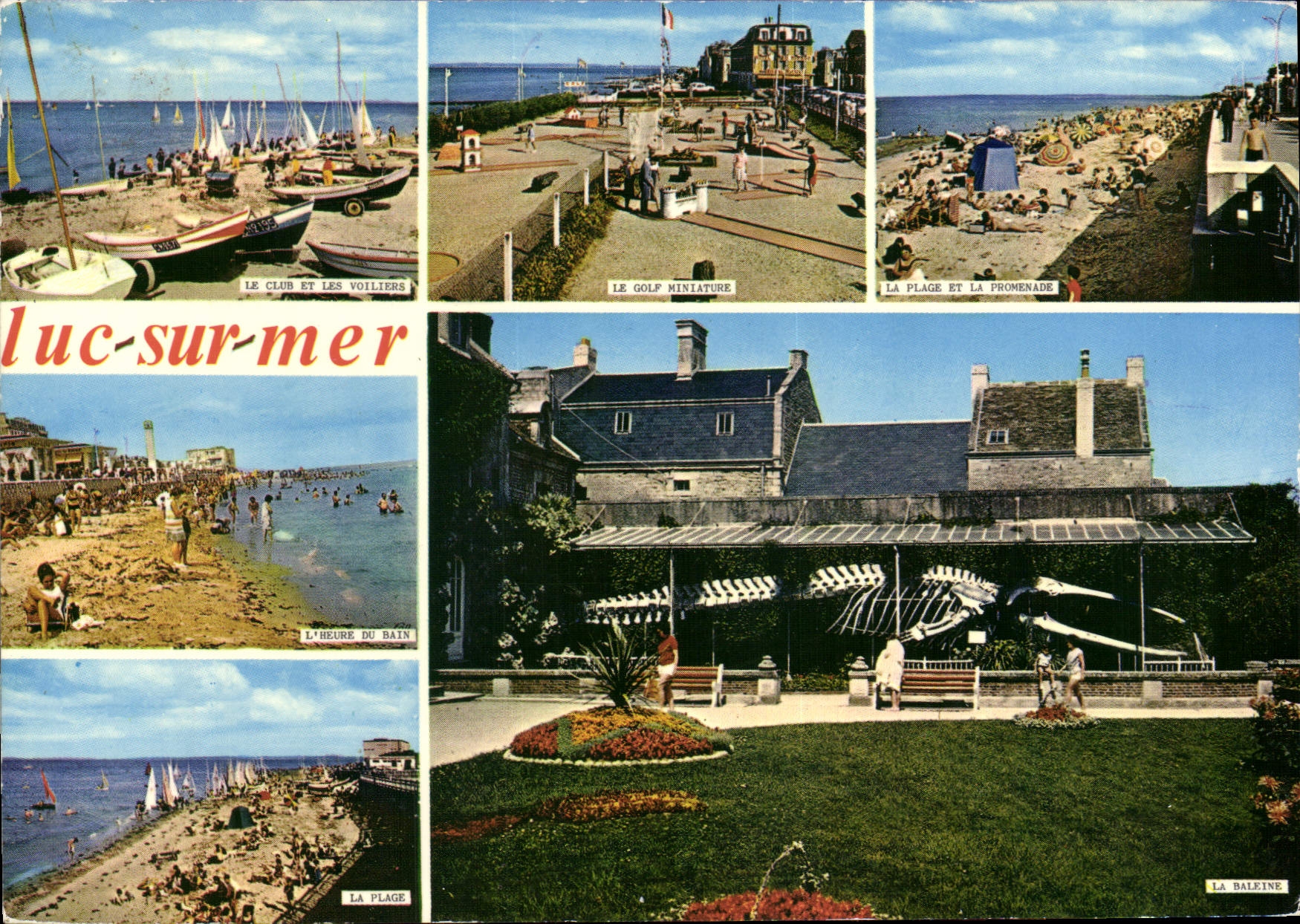 MODERN CARD Luc on Sea Golf Whale