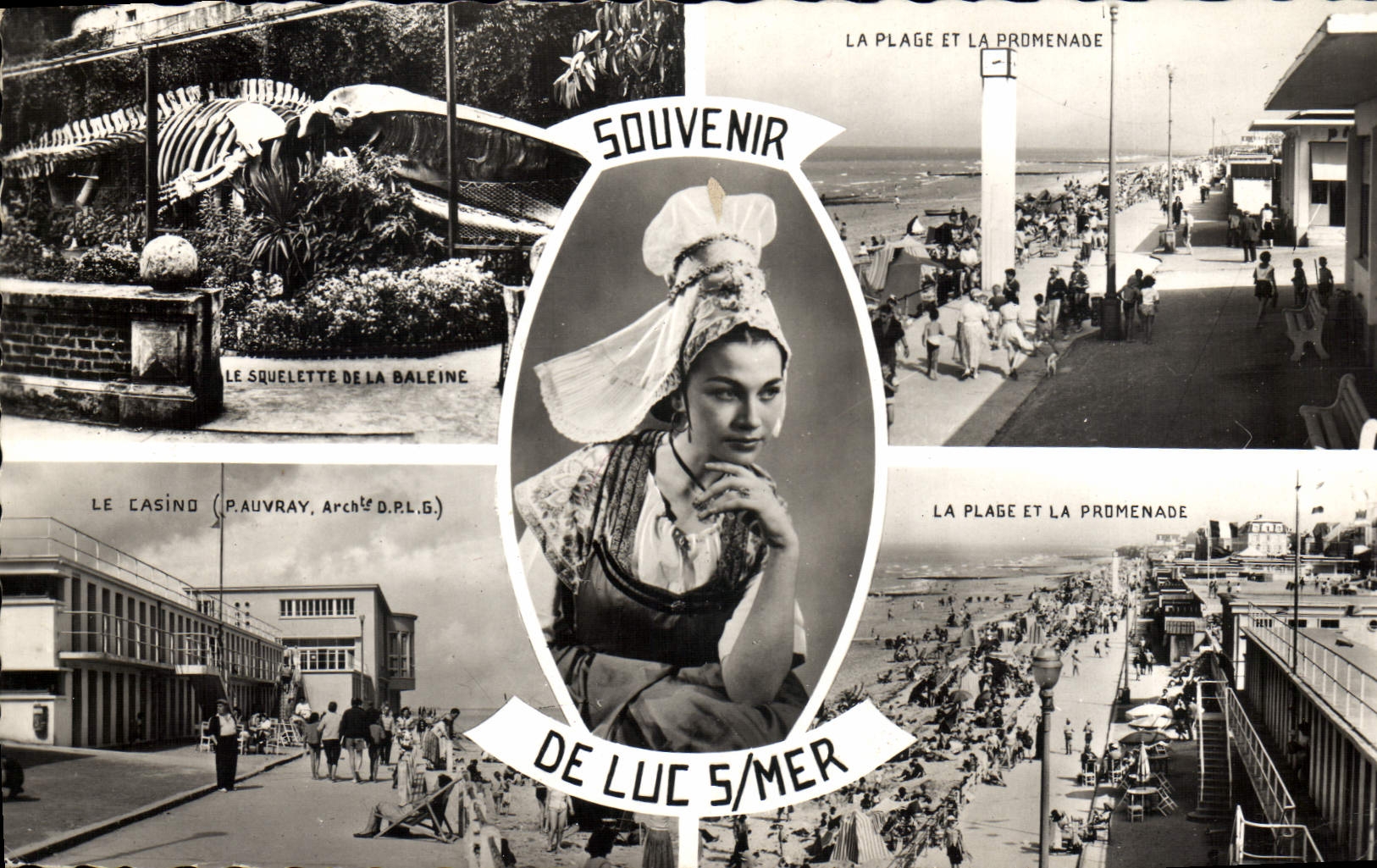 MODERN CARD Souvenir Of Luc On Mer Whale Caps Costume Folklore