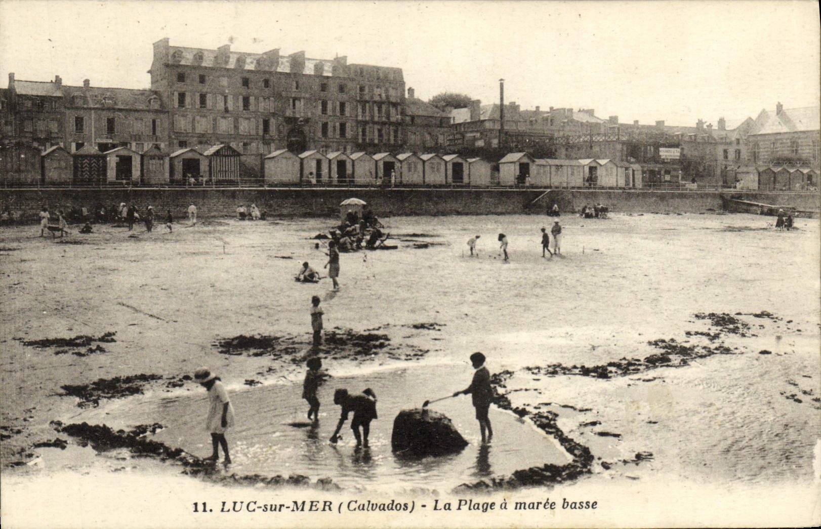 CPA Luc Sur mer la plage a maree basse