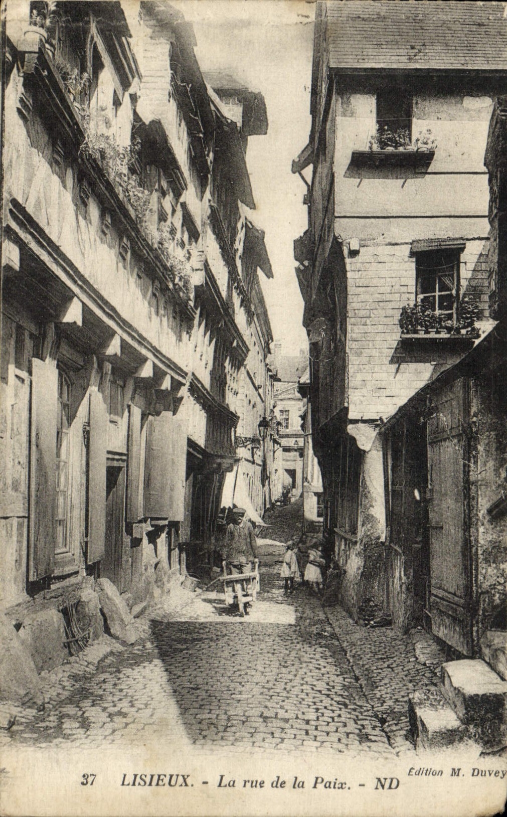 CPA Lisieux La Rue de la Paix 