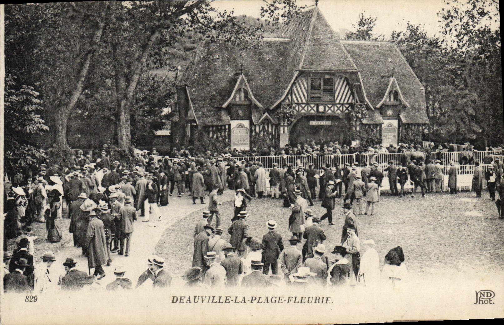 VINTAGE POSTCARD Deauville the flowered beach Hippisme Horses