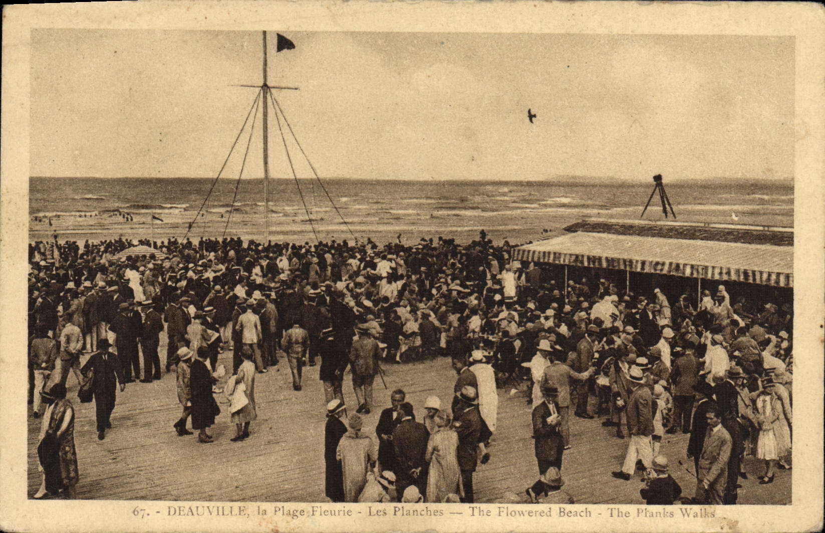 CPA Deauville La plage fleurie les planches
