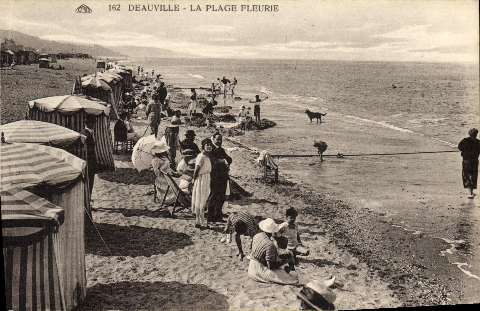 CPA Deauville La Plage fleurie
