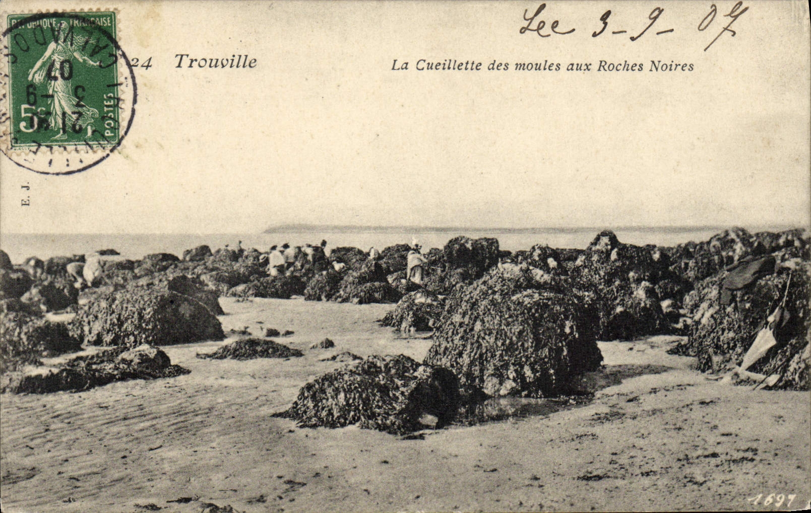 CPA Trouville La Cueillette des Moules Aux Roches Noires