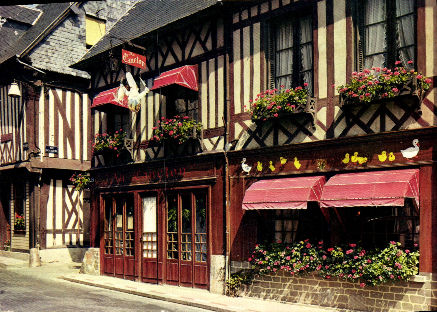 MODERN CARD Orbec Restoring With the Duckling duck