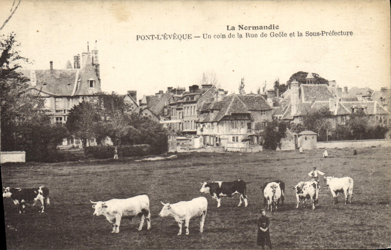 CPA La normandie Pont L'Eveque un coin de la rue de geole et la Sous Prefecture Vaches 