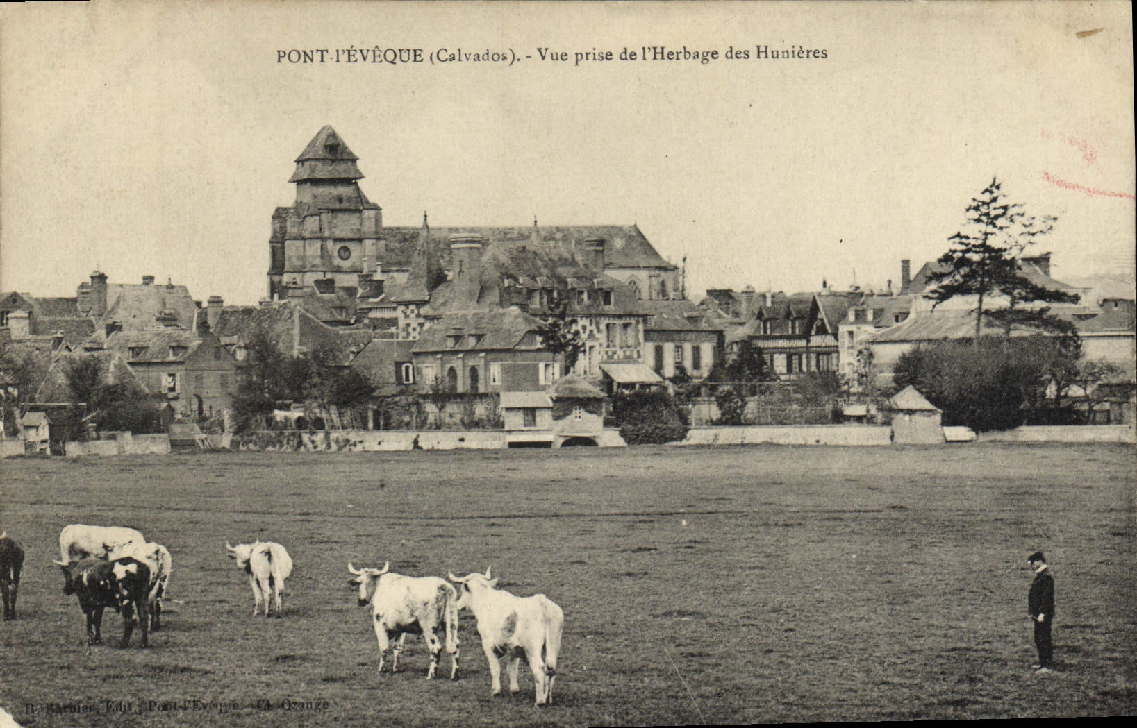CPA Pont L'Eveque Vue prise de l'herbage des Hunieres Vaches