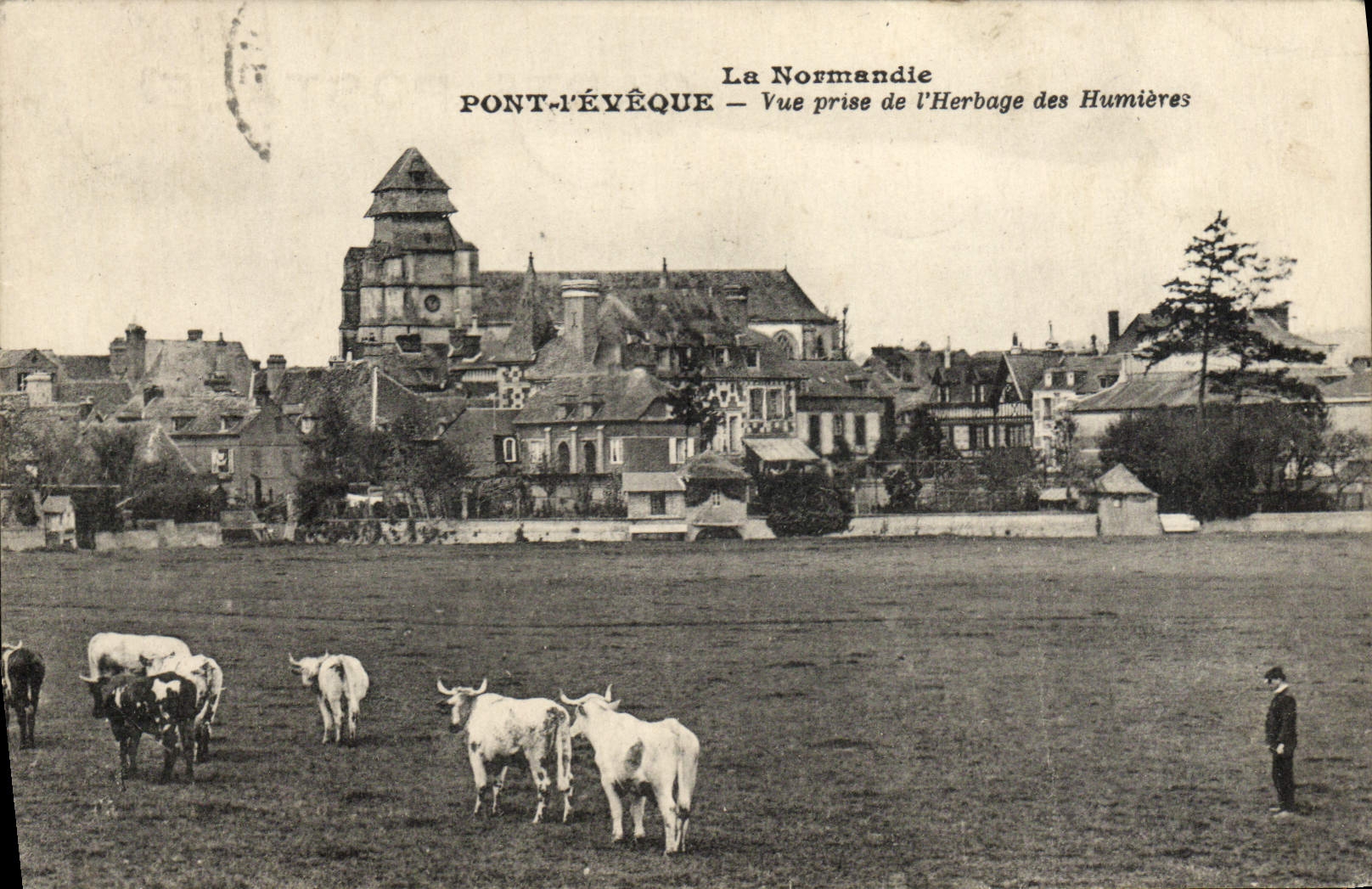 CPA La Normandie Pont L'Eveque vue prise de l'herbage des Hunieres Vaches