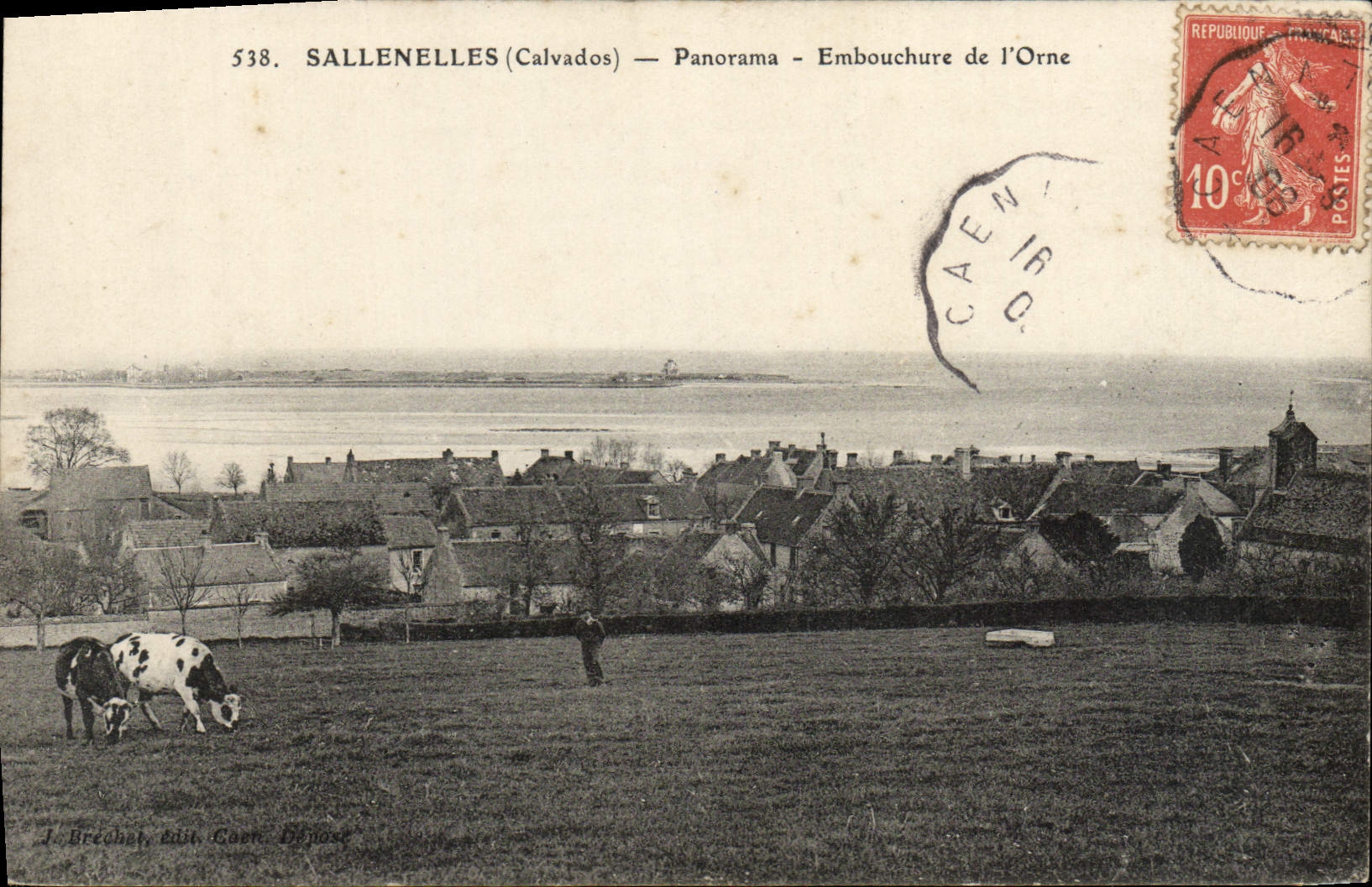 Boca del panorama de Sallenelles de la POSTAL de la VENDIMIA Orne de la vaca