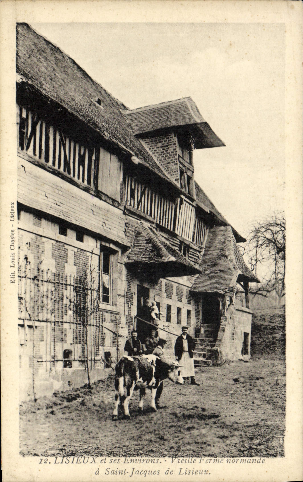 VINTAGE POSTCARD Lisieux and its Surroundings Old woman close Norman has Saint Jacques de Lisieux Vache