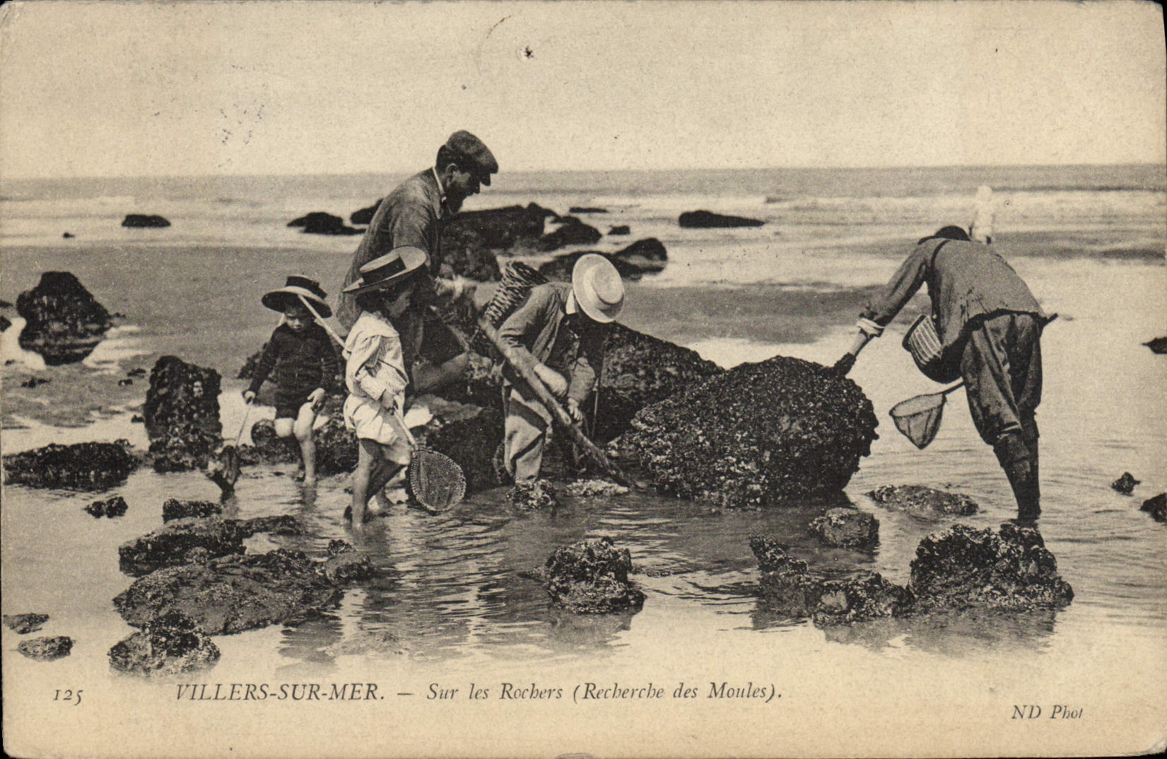 CPA Villers Sur Mer Sur les Rochers Recherche des moules