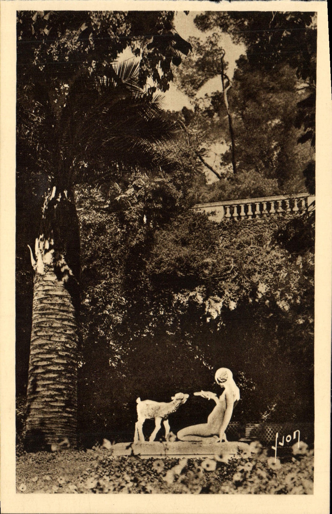 CPA Nimes Jardin de la Fontaine