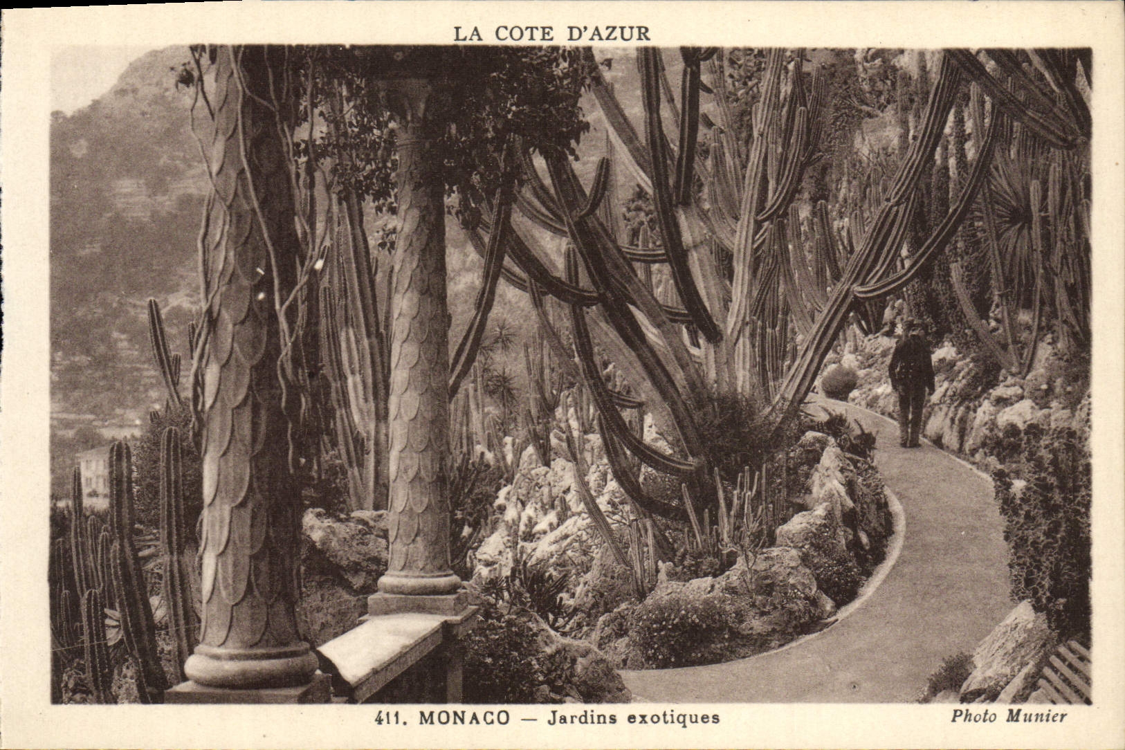 CPA Monaco Jardins Exotiques