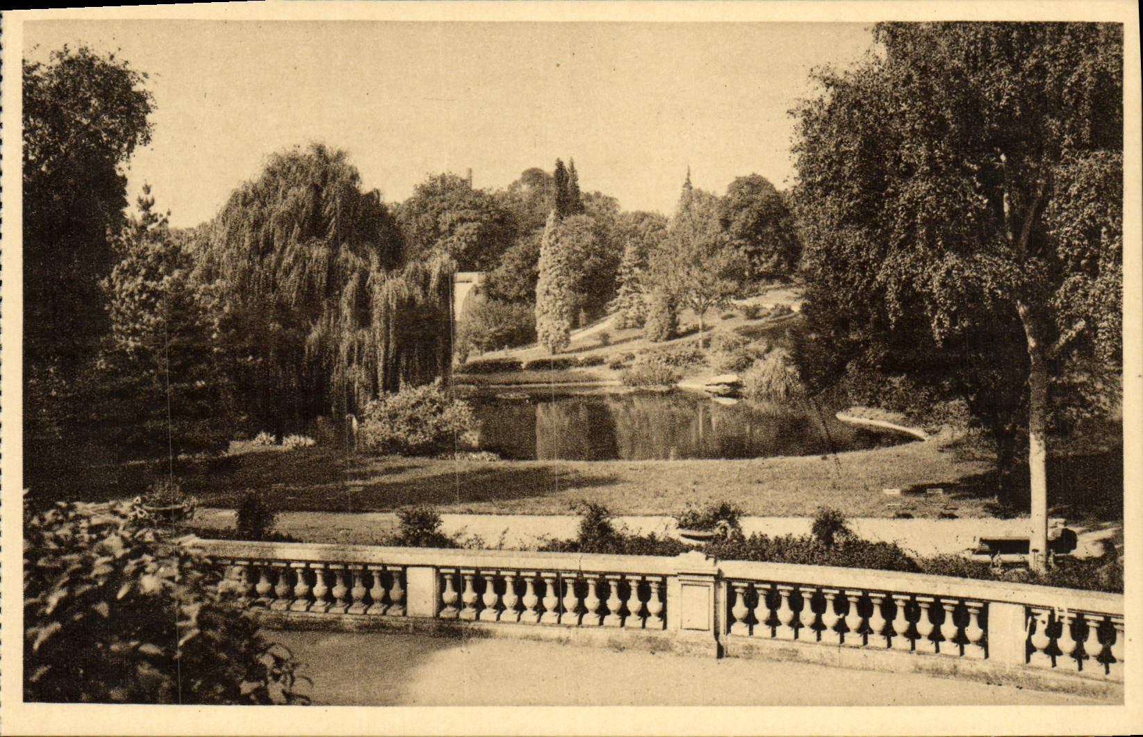 CPA Angers Le Jardin des Plantes 