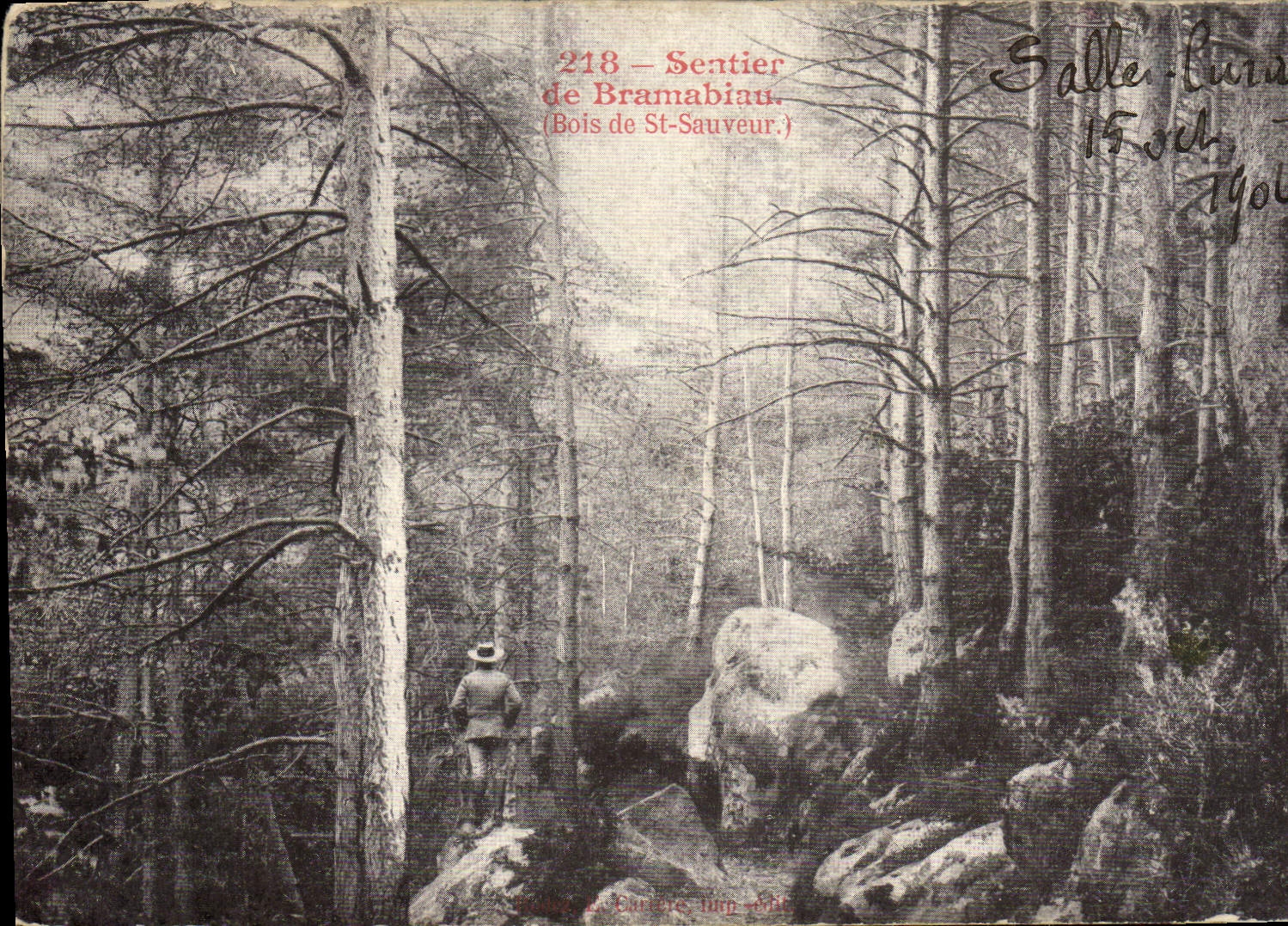 CPA Sentier de bramabiau Bois de St Sauveur