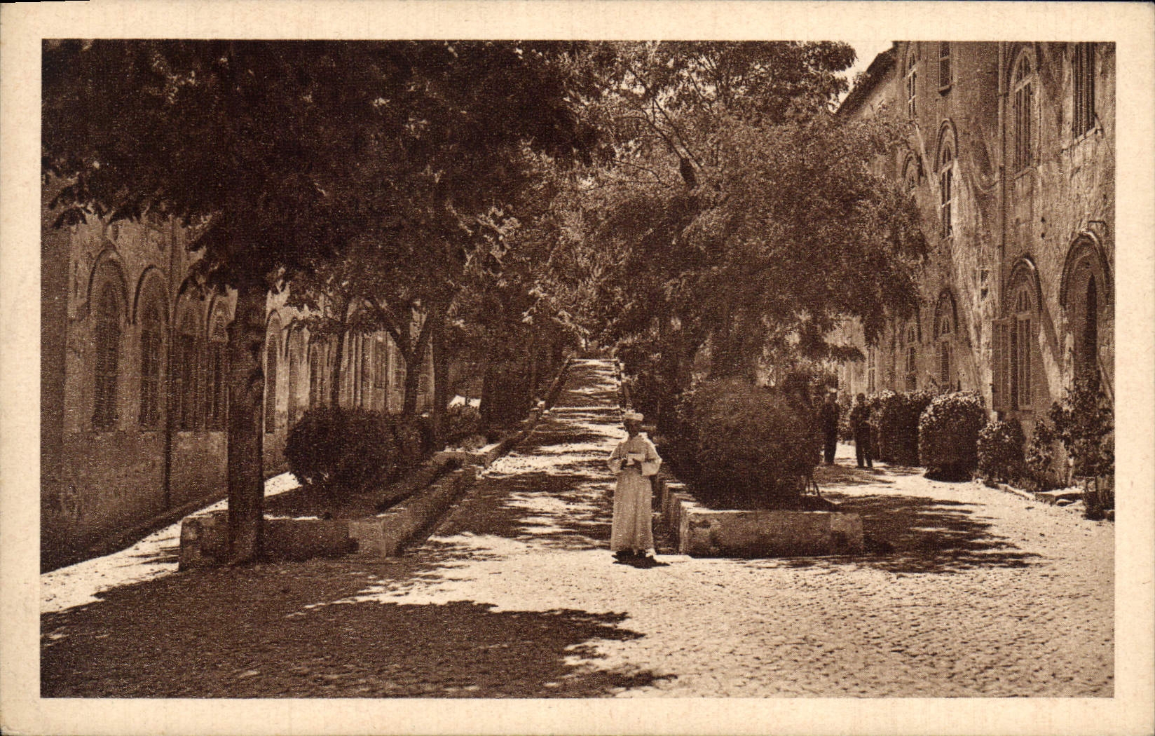 CPA Saint Michel De Frigolet Les Allees de l'Abbaye Pleines De lumieres et d'ombre