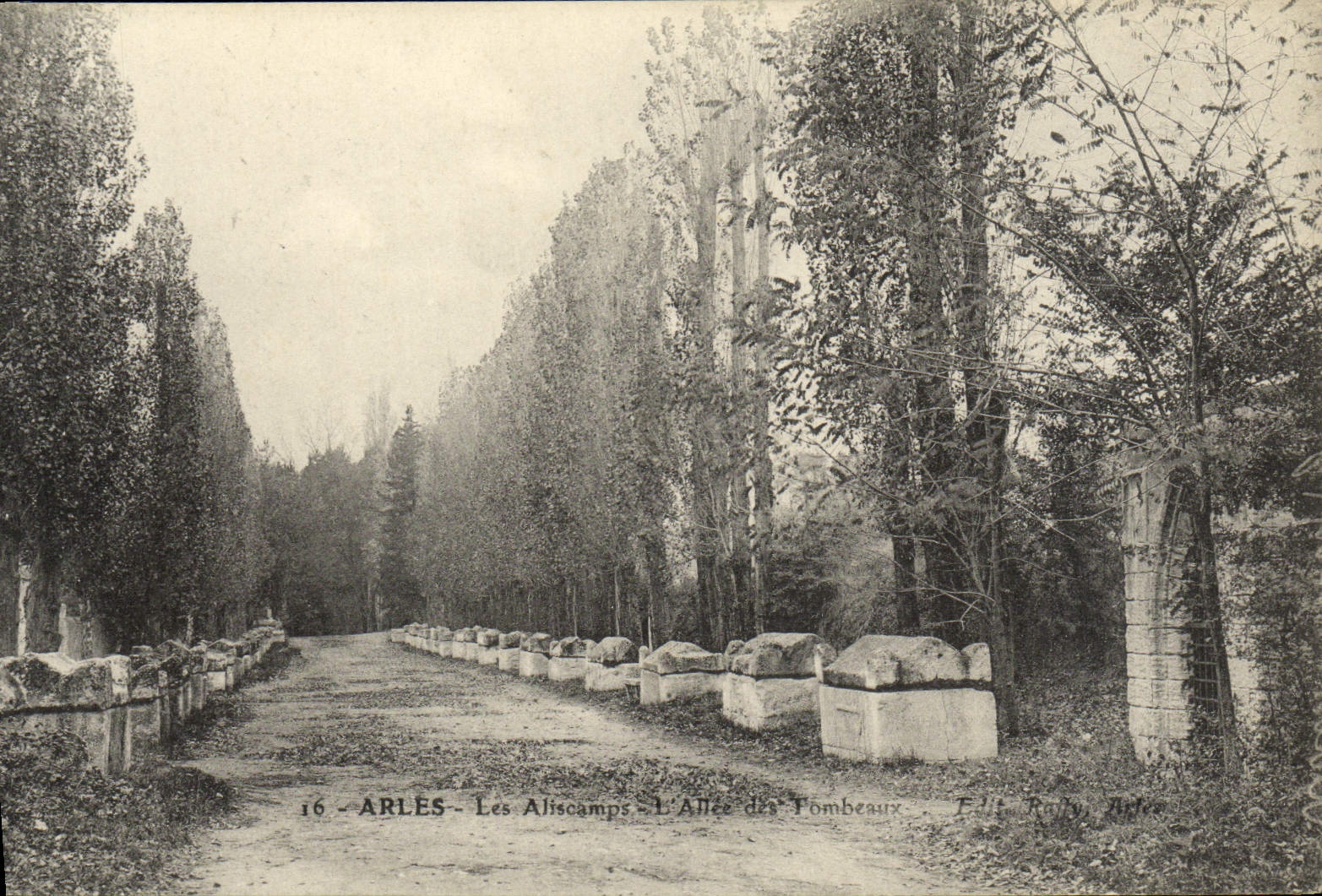 CPA Arles Les Aliscamps L'Allee Des Tombeaux