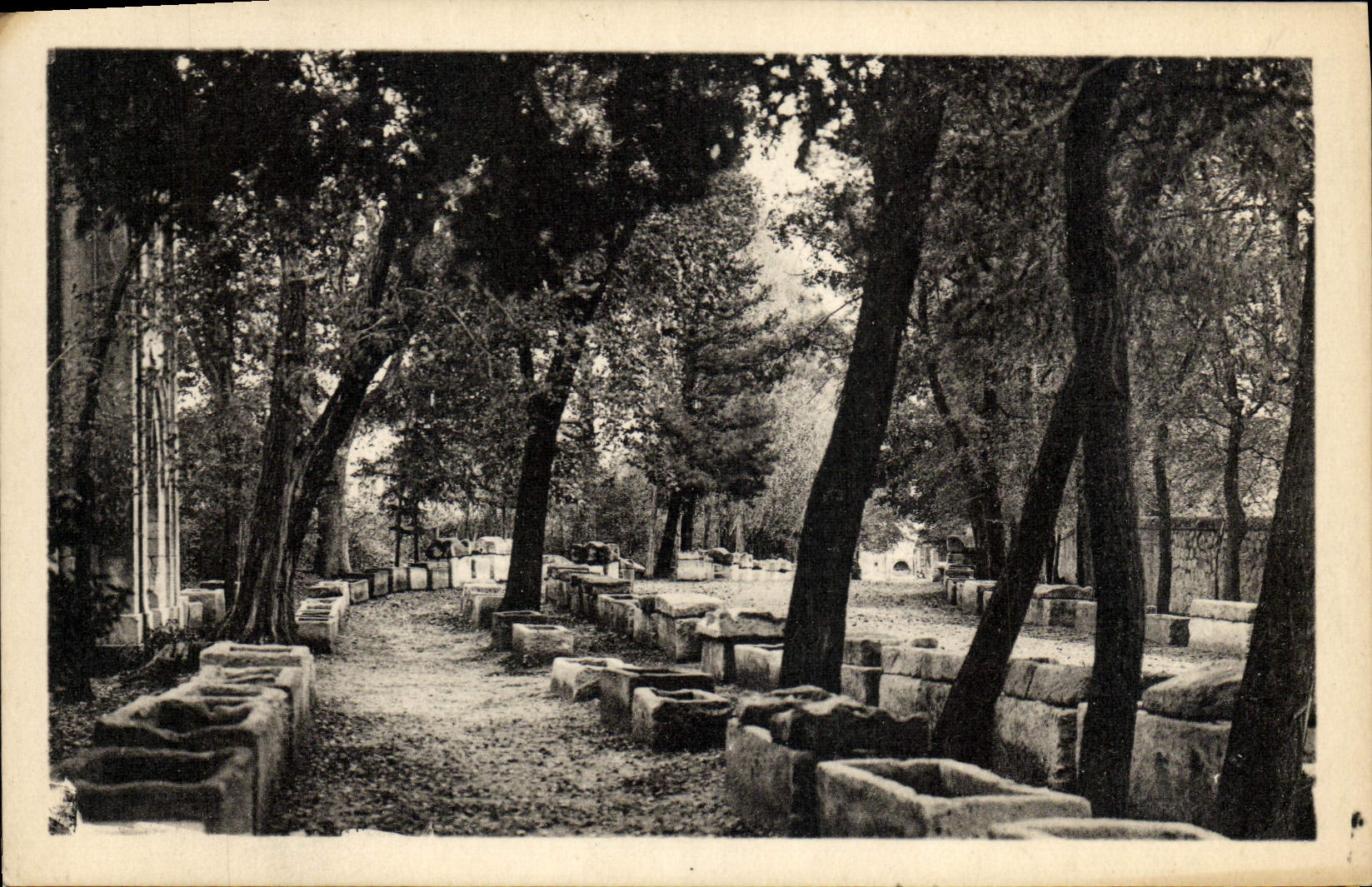 POSTAL Arles de la VENDIMIA una esquina de Alyscamps