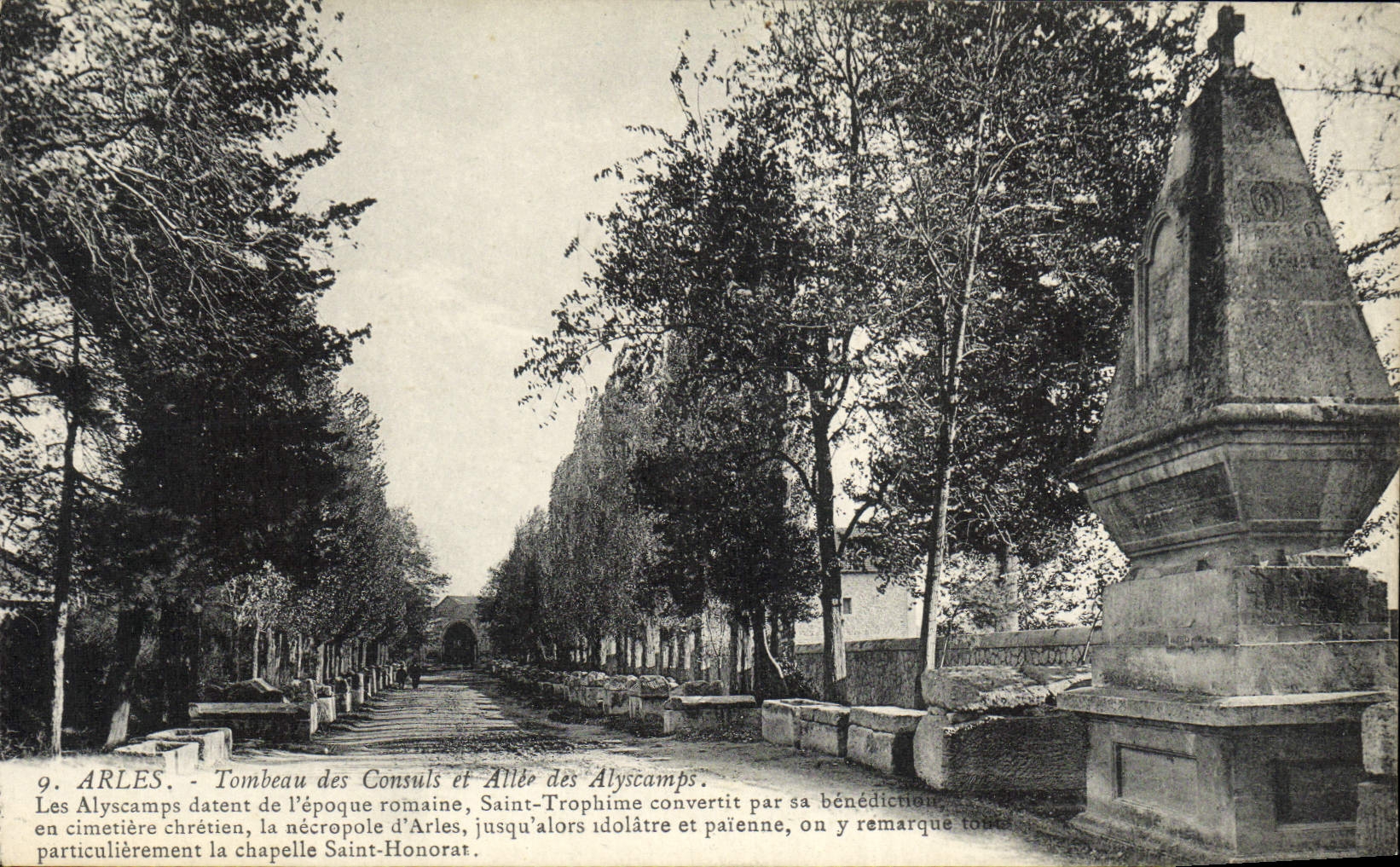 VINTAGE POSTCARD Arles Tomb Of the Consuls and alley of Alyscamps