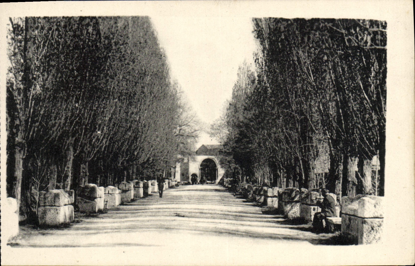 CPA Arles Les alyscamps Allee des tombeaux