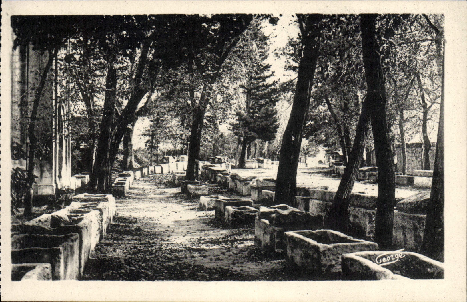 POSTAL Arles de la VENDIMIA en el Rhone una esquina del Champs Elysées de Alyscamps Román