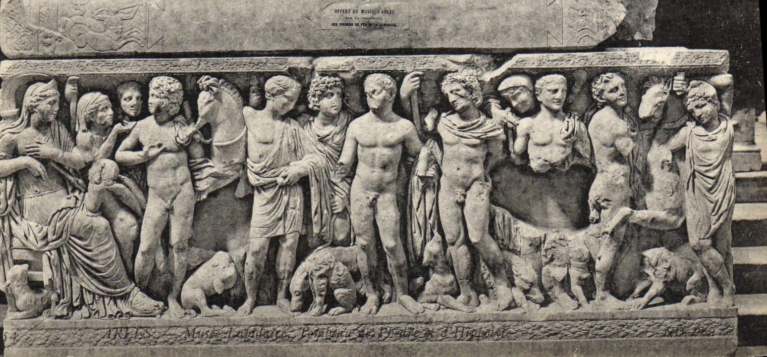 CPA Arles Musee Lapidaire
