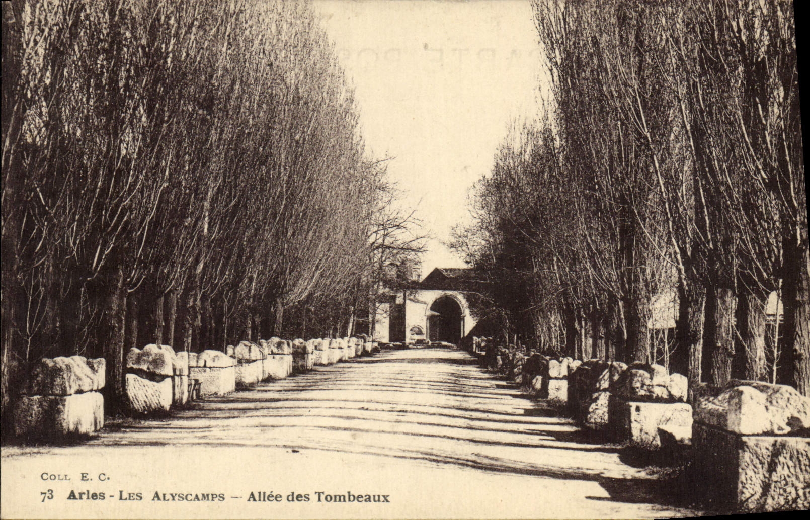 CPA Arles Allee des Tombeaux