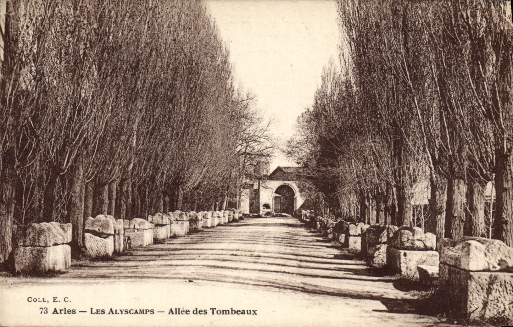 CPA Arles Les Alyscamps Allee des tombeaux