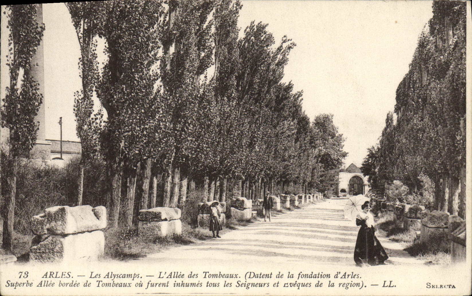 CPA Arles Les Alyscamps L'Allee des Tombeaux