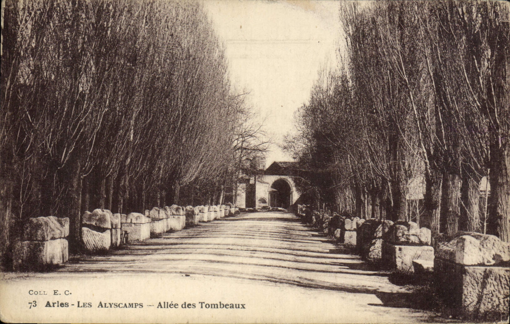 CPA Arles Les Alyscamps Allee des Tombeaux