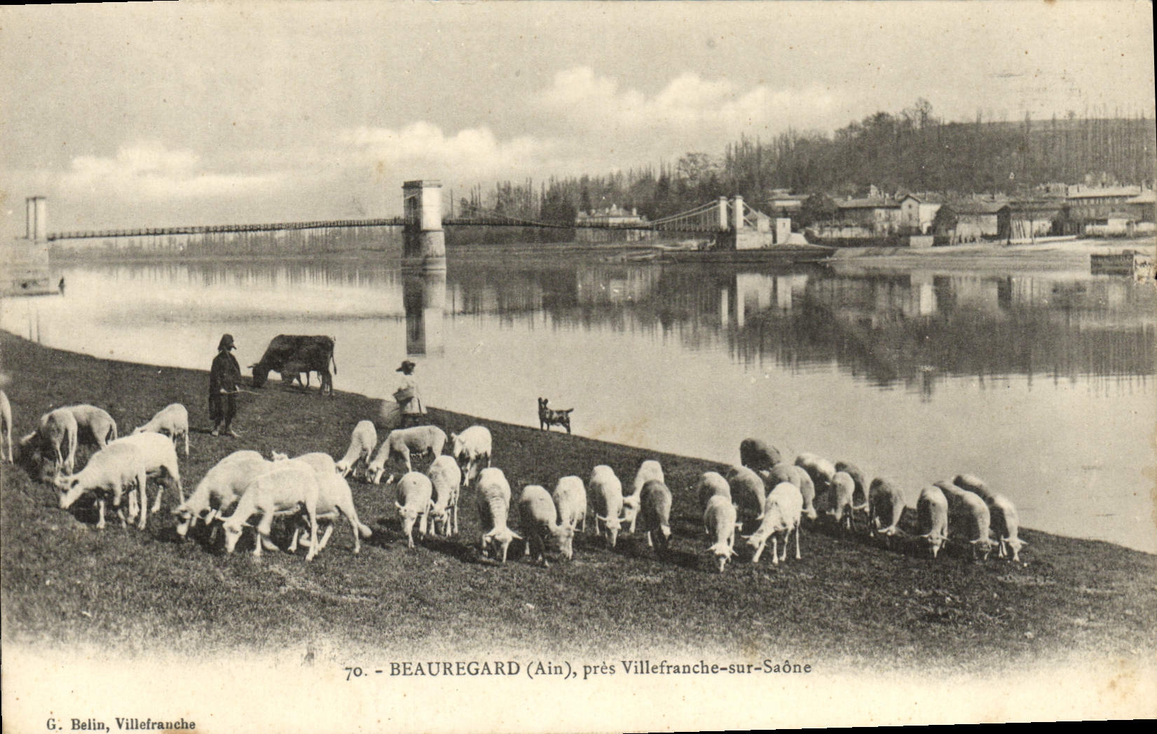 VINTAGE POSTCARD Beauregard Close Villefranche on the Saone Sheep