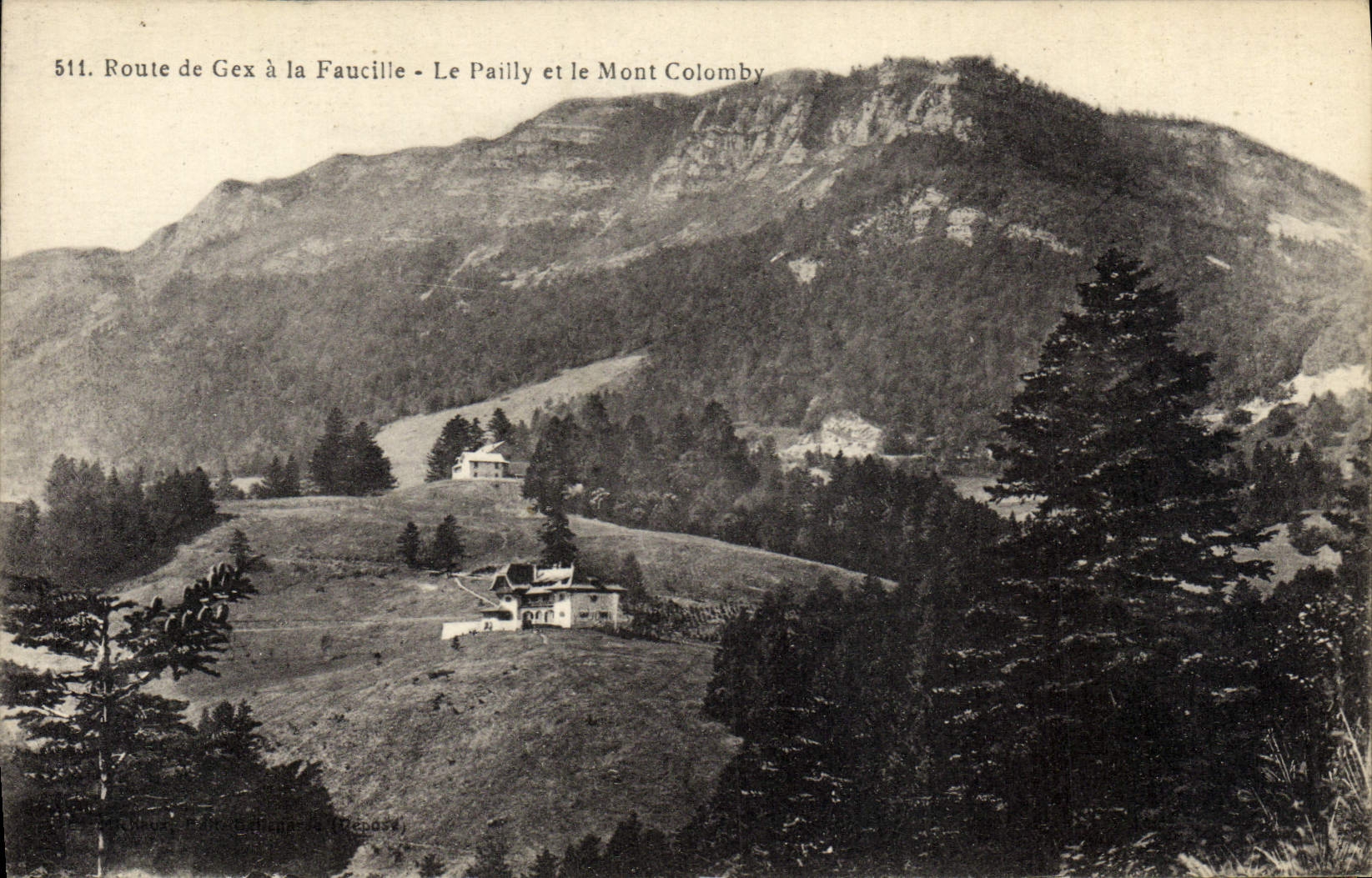 VINTAGE POSTCARD Road of Gex to the Sickle Pailly and the Colomby Mount
