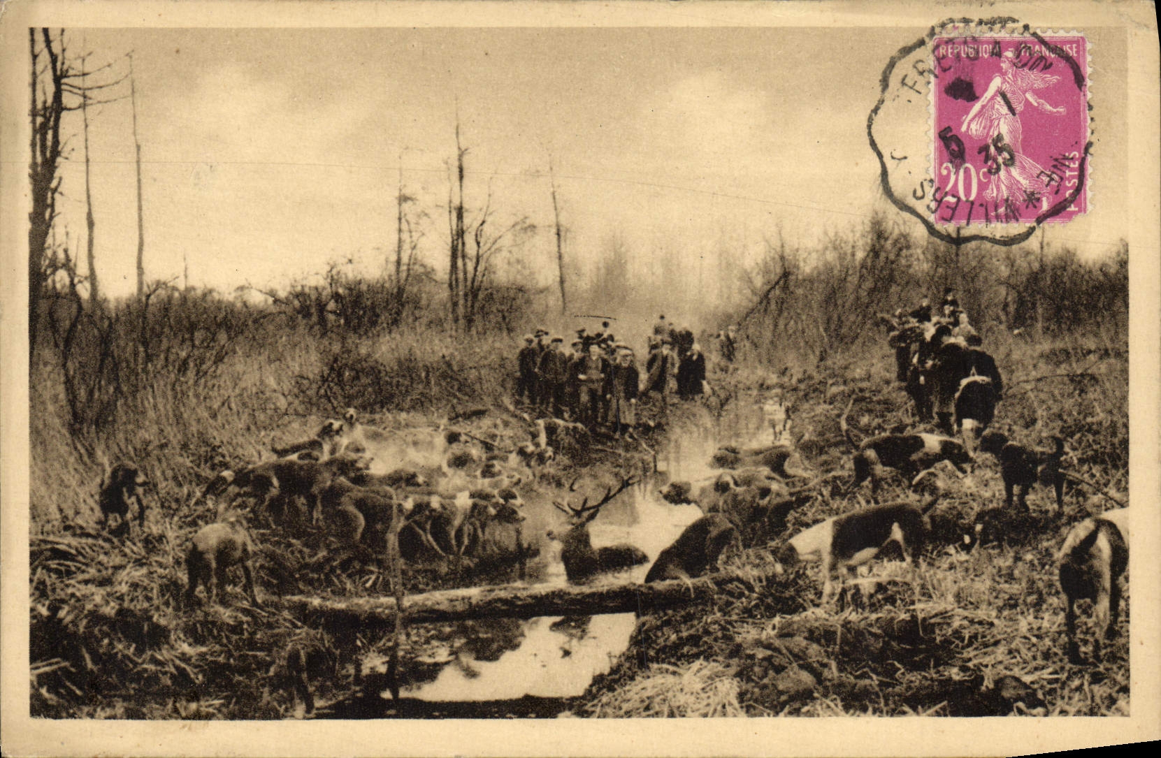 VINTAGE POSTCARD Foret of Villers Cotterets Equipage Menier beats water has Silly the Pottery Hunt Dogs