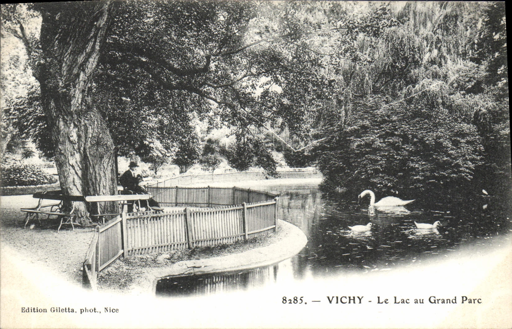 VINTAGE POSTCARD Vichy the Lake with the Large Park Swans