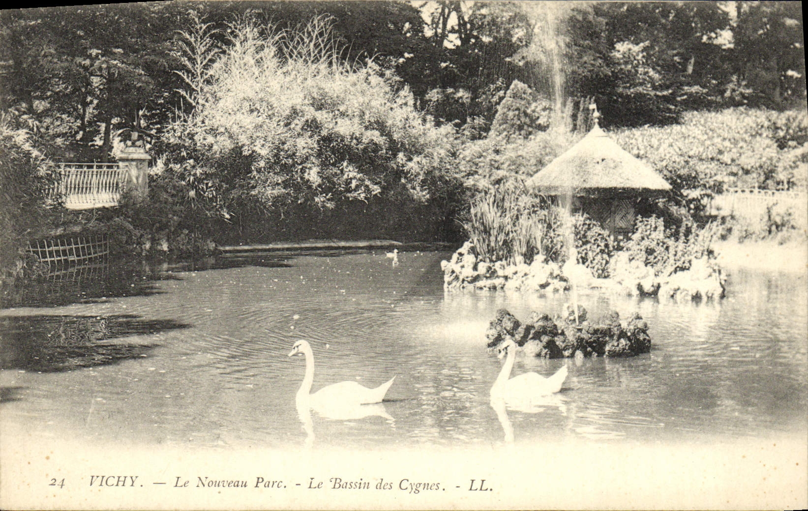 CPA Vichy Le Nouveau Parc Le Bassin des Cygnes 