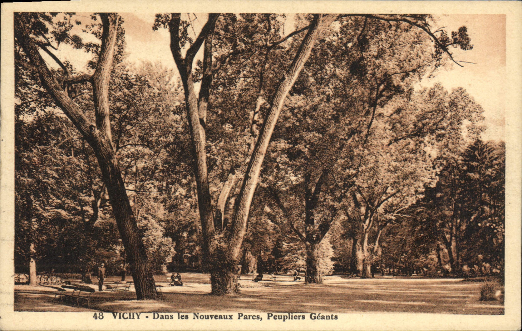 CPA Vichy Dans les Nouveaux Parcs Peupliers Geants