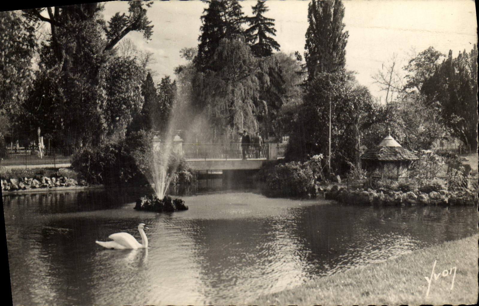 MODERN CARD Vichy the Park Swan