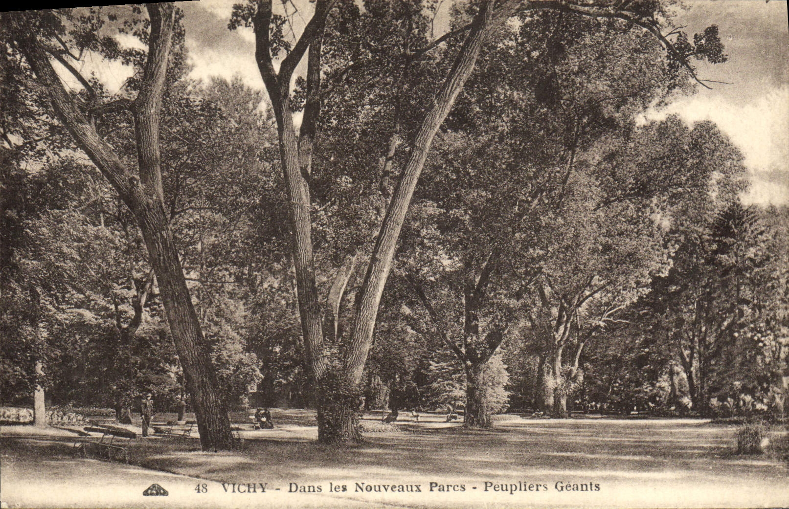 VINTAGE POSTCARD Vichy In the New ones Avoid Giant Poplars