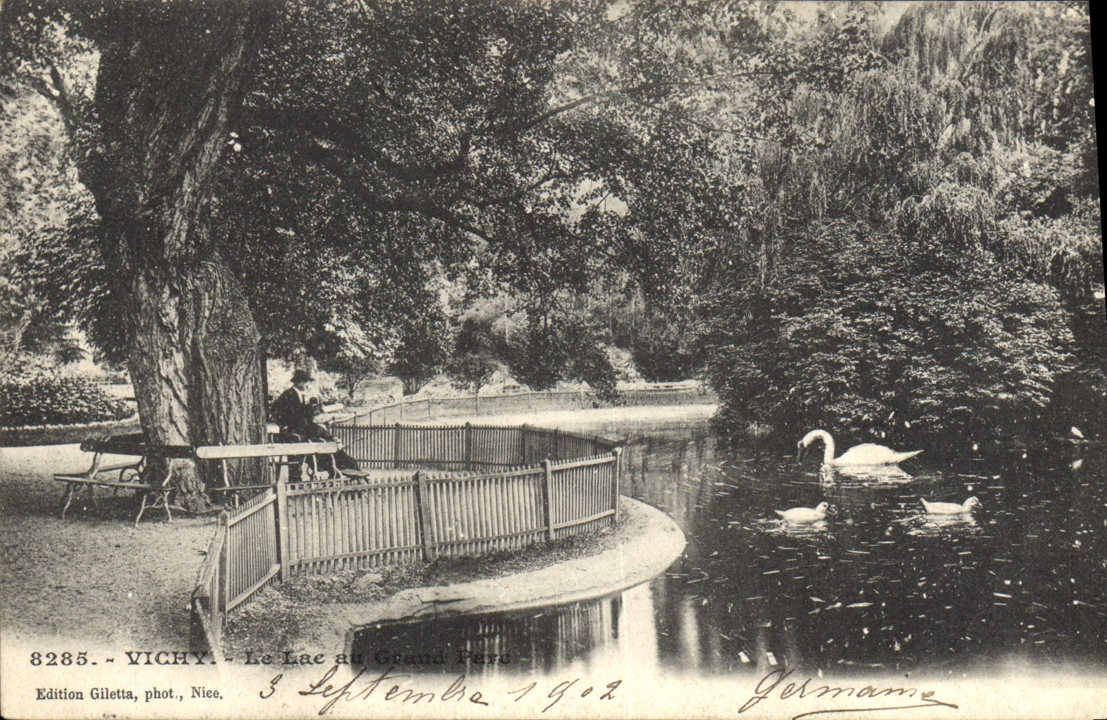 CPA Vichy Le Lac Au Grand Parc Cygnes