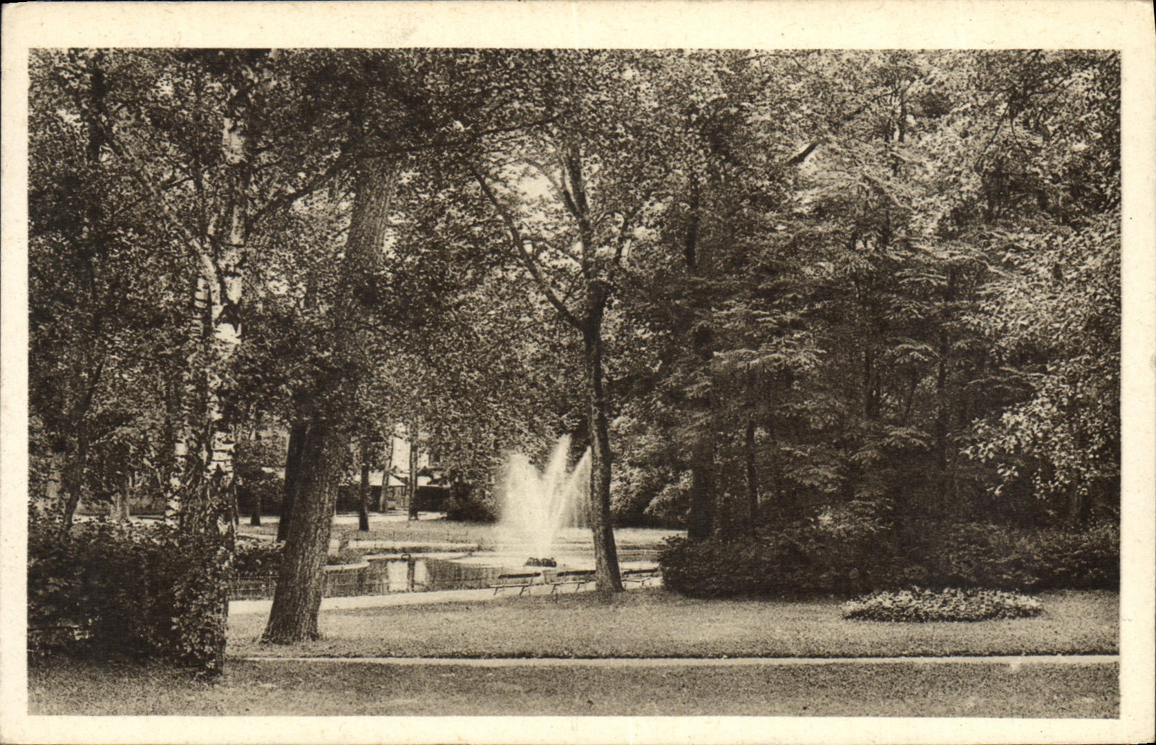 CPA Vichy Nouveau Parc Bassin des cygnes