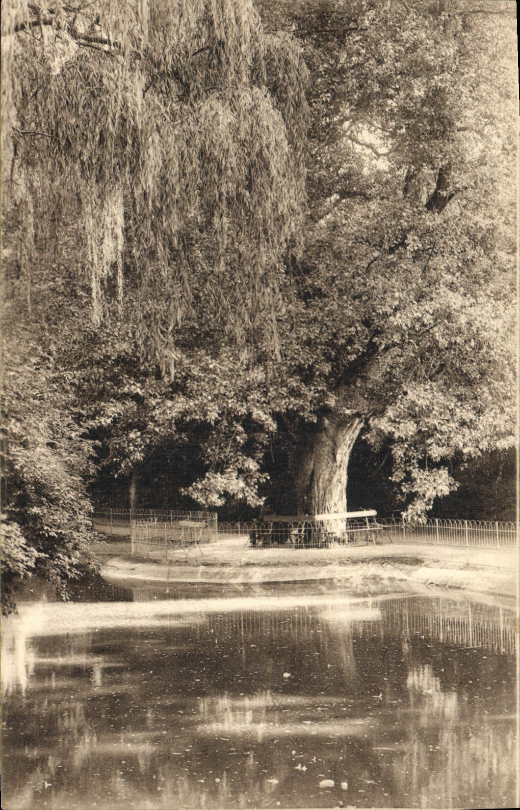 CPA Vichy Un Coin Du Parc