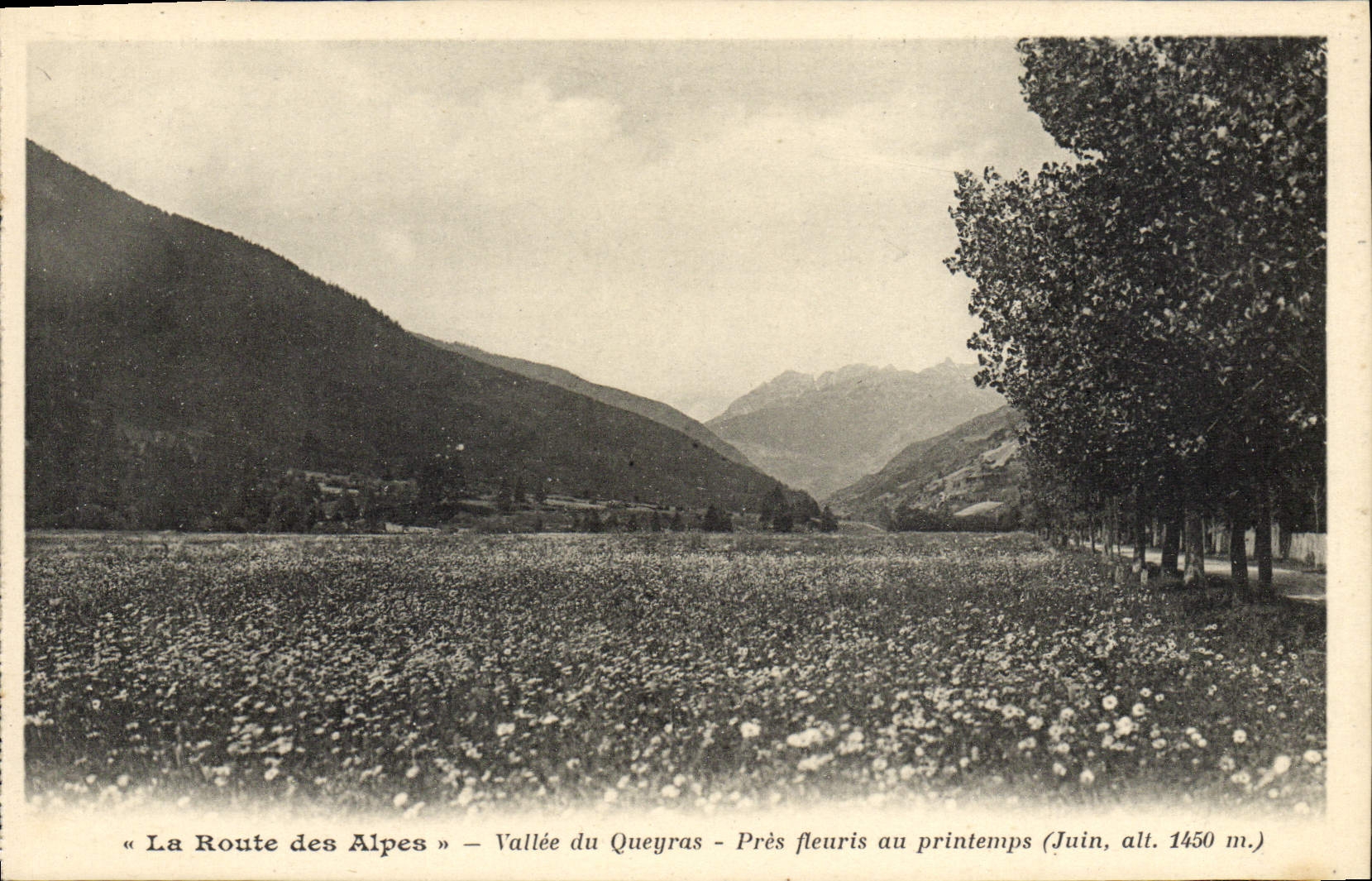 CPA La Route Des Alpes Vallee Du Queyras Pres Fleuris Au Printemps