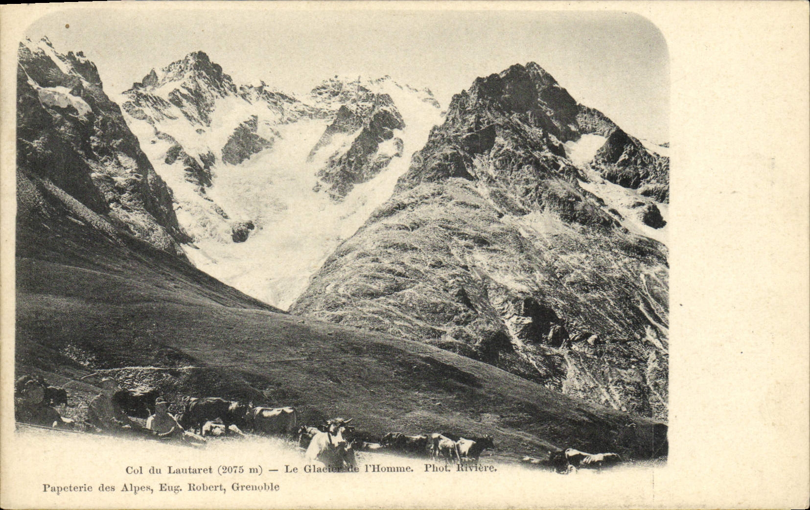 CPA Col Du Lautaret Le l'Homme Vaches