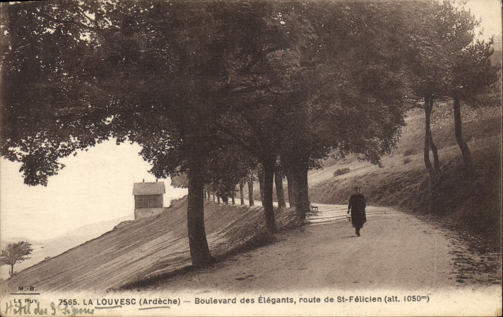 VINTAGE POSTCARD Louvesc Boulevard Of Elegant the Road of St Fellcien