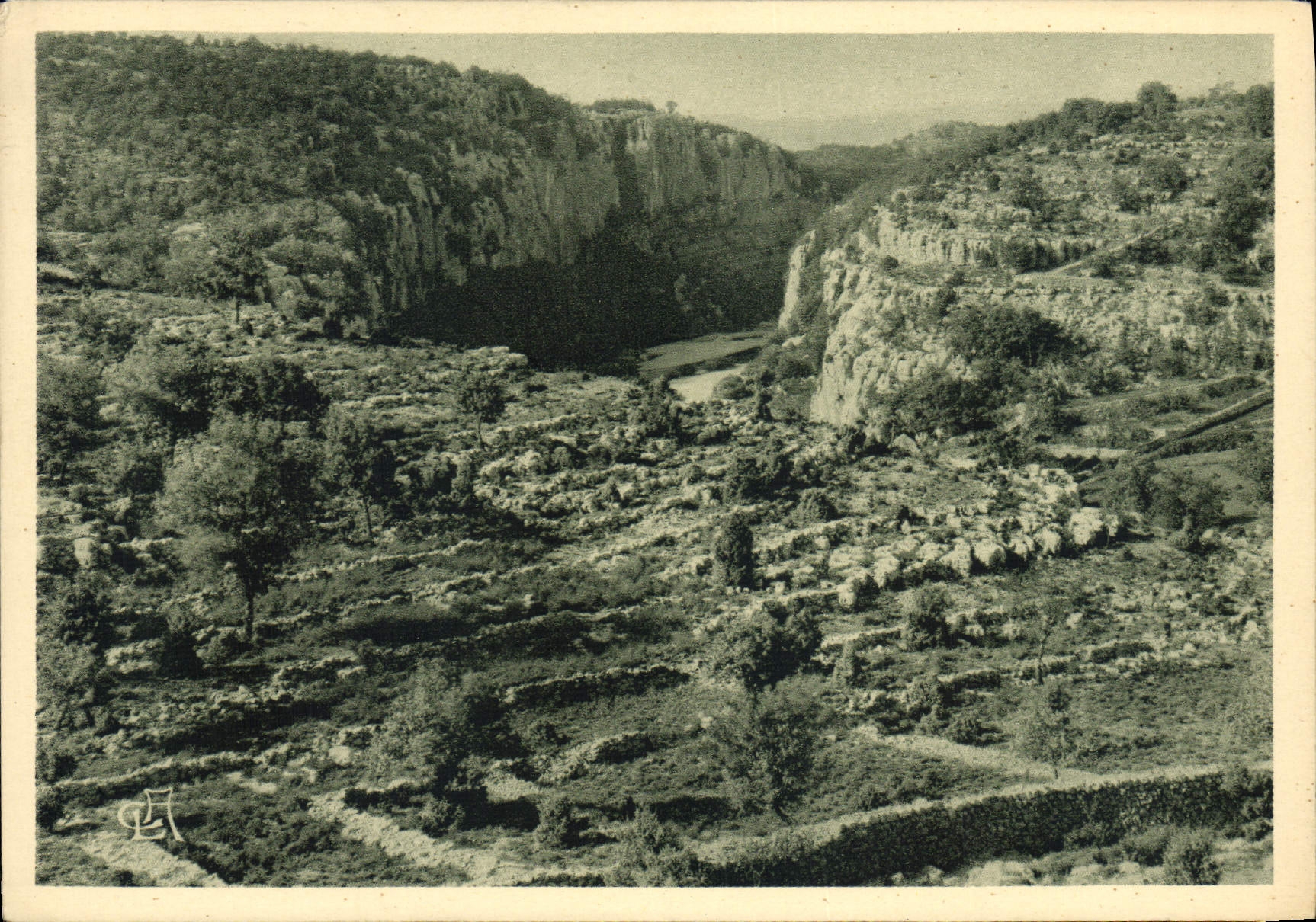 VINTAGE POSTCARD Wood De Paiolive