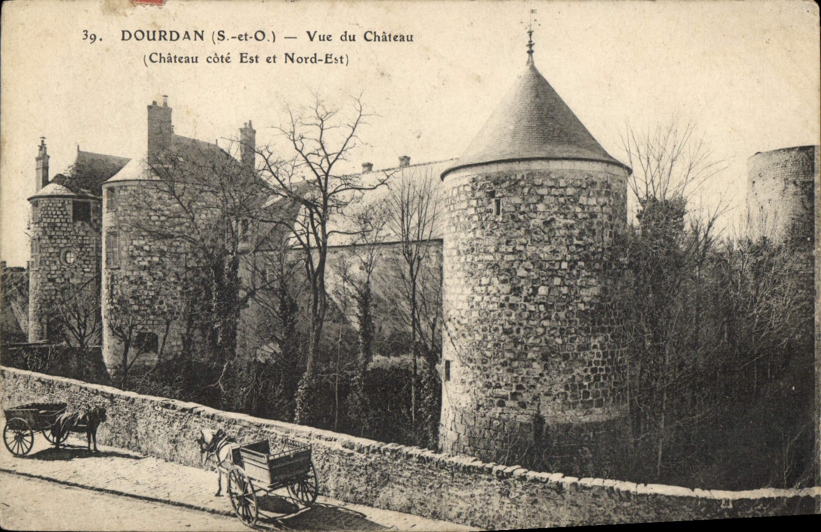 POSTAL Dourdan de la VENDIMIA visto del castillo