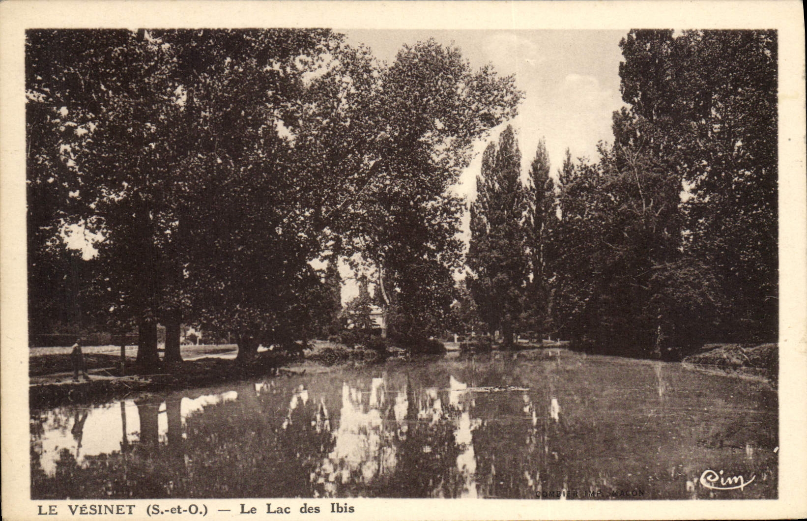 CPA Le Vesinet Le Lac des Ibis