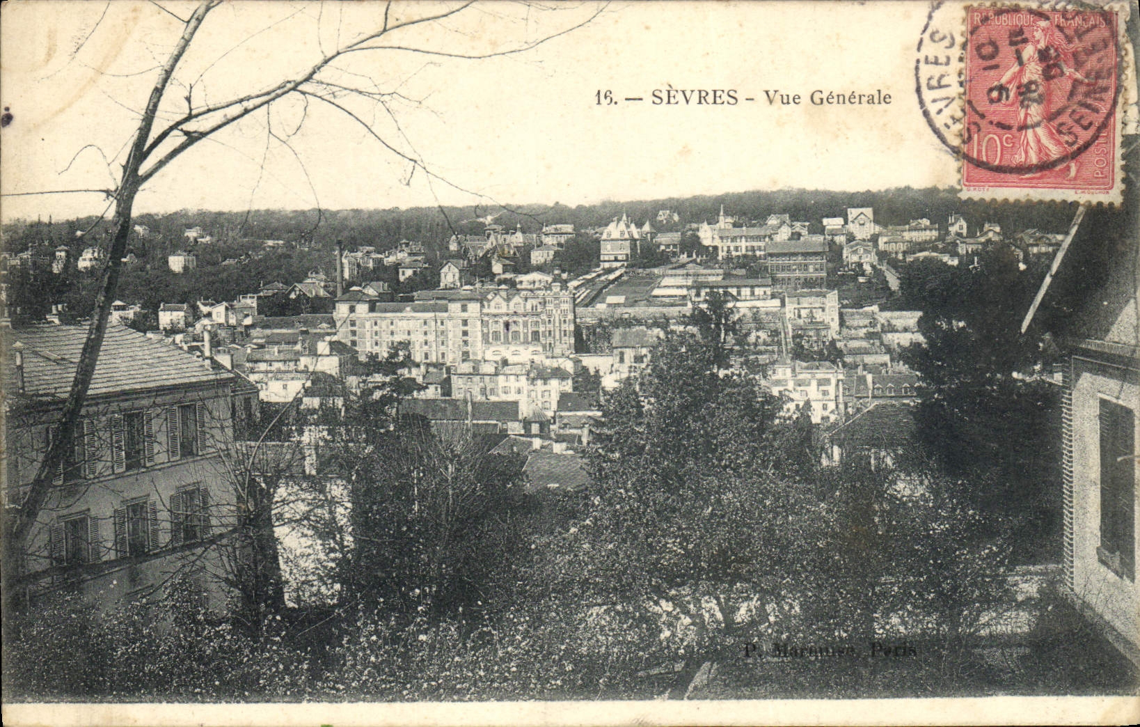 Opinión separada de la POSTAL de la VENDIMIA