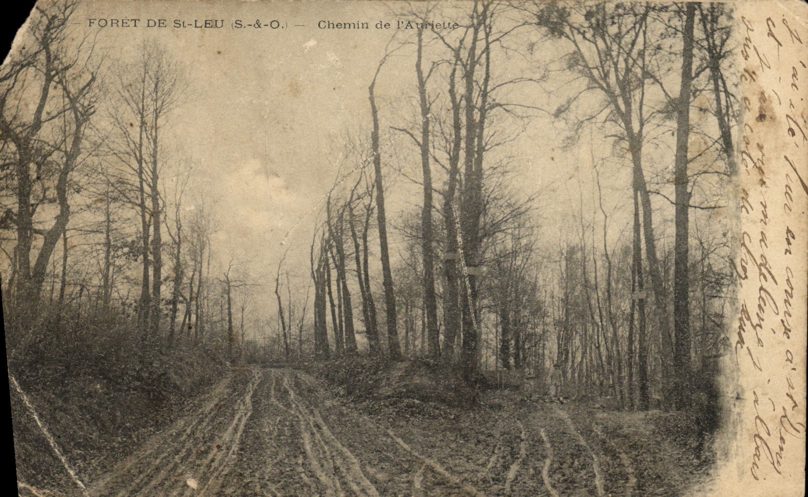 CPA Foret De St Leu Chemin de L'Auriette